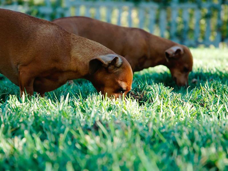 sudoku trial and error screenshot 3